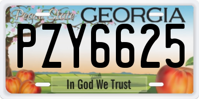 GA license plate PZY6625