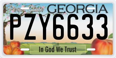 GA license plate PZY6633