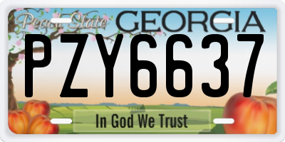 GA license plate PZY6637