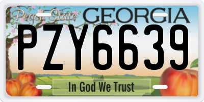 GA license plate PZY6639