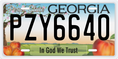 GA license plate PZY6640