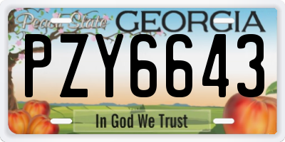 GA license plate PZY6643