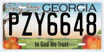 GA license plate PZY6648