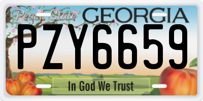 GA license plate PZY6659