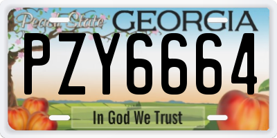 GA license plate PZY6664
