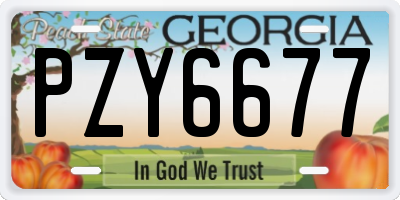 GA license plate PZY6677