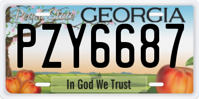 GA license plate PZY6687