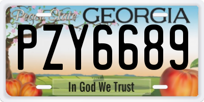 GA license plate PZY6689