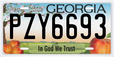 GA license plate PZY6693