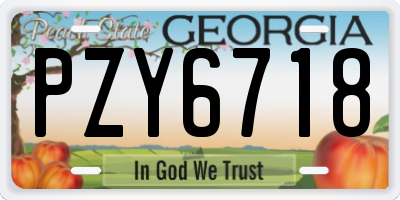 GA license plate PZY6718