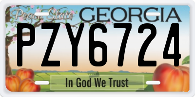 GA license plate PZY6724