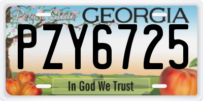 GA license plate PZY6725