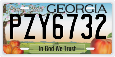 GA license plate PZY6732