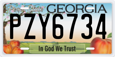 GA license plate PZY6734