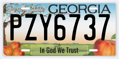 GA license plate PZY6737
