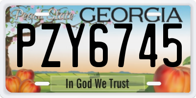 GA license plate PZY6745