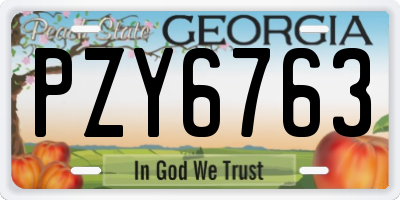 GA license plate PZY6763
