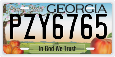 GA license plate PZY6765