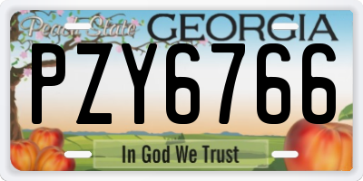 GA license plate PZY6766