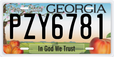 GA license plate PZY6781