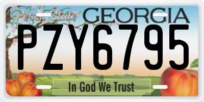 GA license plate PZY6795