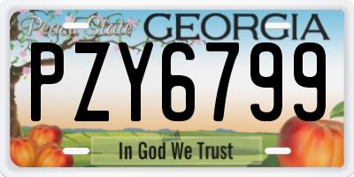 GA license plate PZY6799