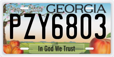 GA license plate PZY6803