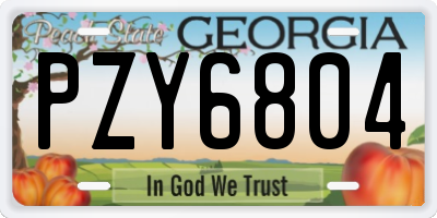 GA license plate PZY6804