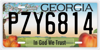 GA license plate PZY6814