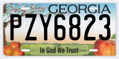 GA license plate PZY6823