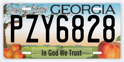 GA license plate PZY6828