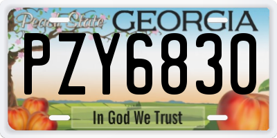 GA license plate PZY6830