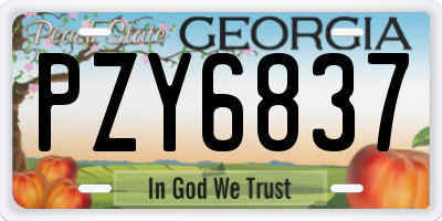 GA license plate PZY6837