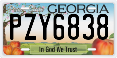 GA license plate PZY6838