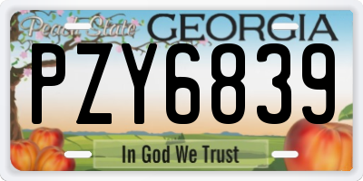 GA license plate PZY6839