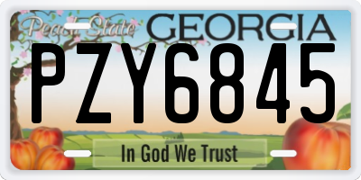 GA license plate PZY6845