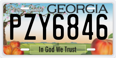 GA license plate PZY6846