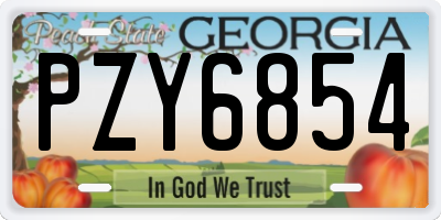 GA license plate PZY6854