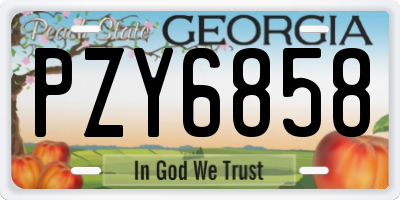 GA license plate PZY6858