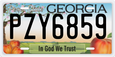 GA license plate PZY6859