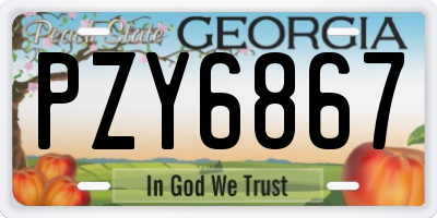 GA license plate PZY6867