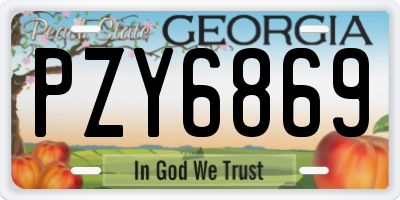 GA license plate PZY6869