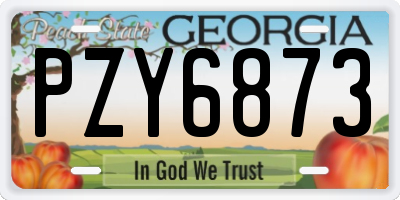 GA license plate PZY6873