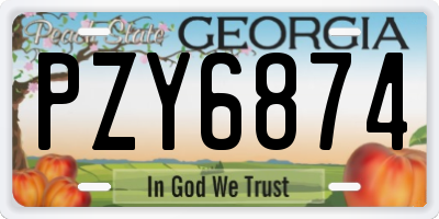 GA license plate PZY6874