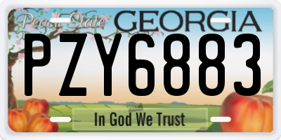 GA license plate PZY6883