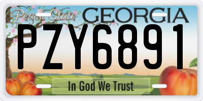 GA license plate PZY6891
