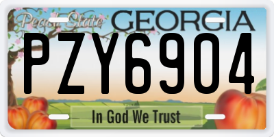 GA license plate PZY6904