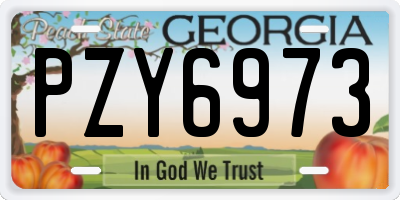 GA license plate PZY6973