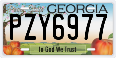 GA license plate PZY6977