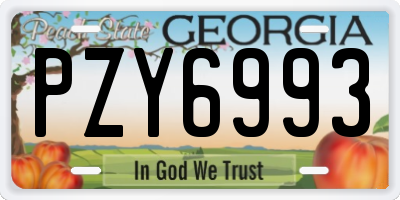 GA license plate PZY6993